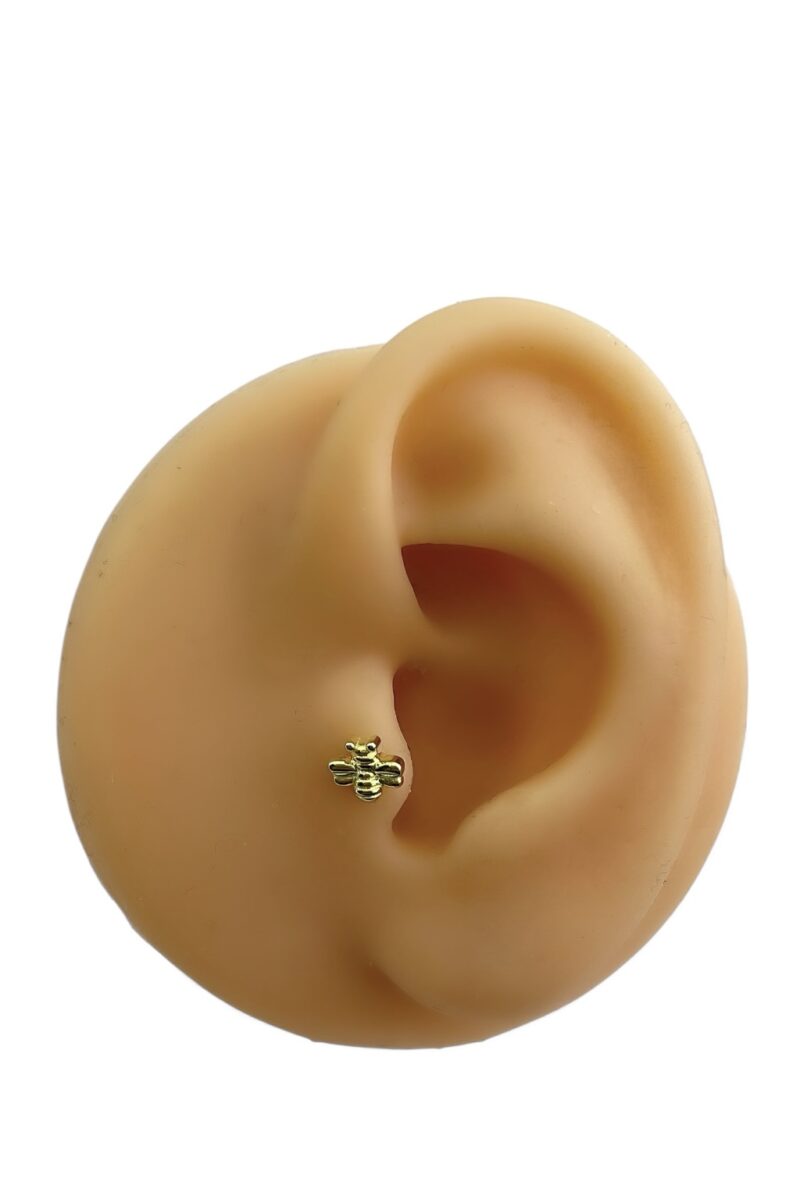Gold Arı Piercing