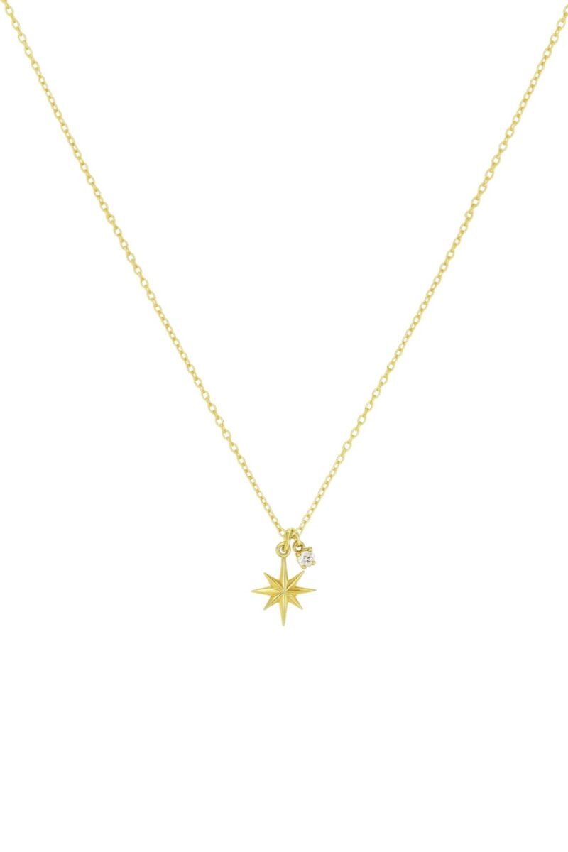 Mini Kutup Yıldızı Taş Sallantılı Gold Kolye | New Collection