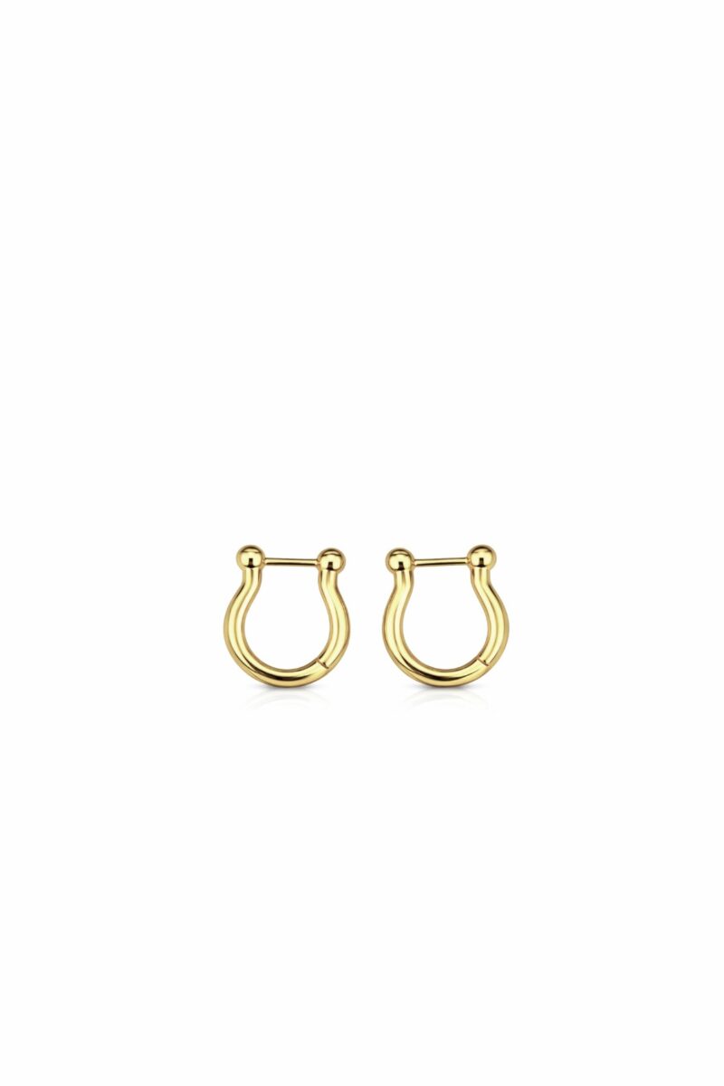 Nal Model Gold Halka Küpe